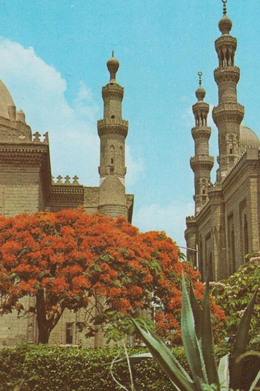 Sultan Hassan El Rifai Mosques Cairo Egypt Rare Egyptian Postcard