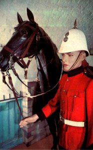 Horses Princess Louise Fusiliers Circa 1890 The Army Museum Halifax Citadel N...