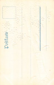 Pentecost Greetings Maybug Insects Mushroom Birch tree embossed postcard C318