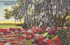 Garden Scene, Orton Plantation Wilmington, North Carolina NC  