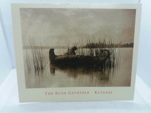 The Rush Gatherer Kutenai Native American Indian Postcard