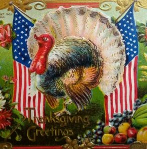 Thanksgiving Postcard Patriotic Turkey US Flags Hofmann Series 2096 Lyons Iowa