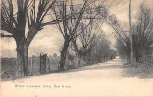 Salem New Jersey Willow Causeway Antique Postcard J52029