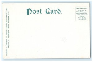 Beach Scene Provincetown Cape Cod MA Massachusetts Postcard (DA1)