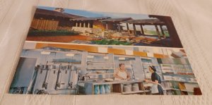 Plentywood Farm Bensenville Illinois Postcard Dexter Press 70145-B