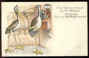 Postcard. Stork on telephone taking order for new baby. 1908 Indianapolis cancel