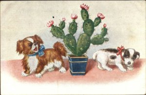 Christmas - - Pretty Woman White Dress Muff Winter Boots c1910 Embossed PC