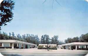 San Bernardino California Motel San Bernardino Vintage Postcard AA40476