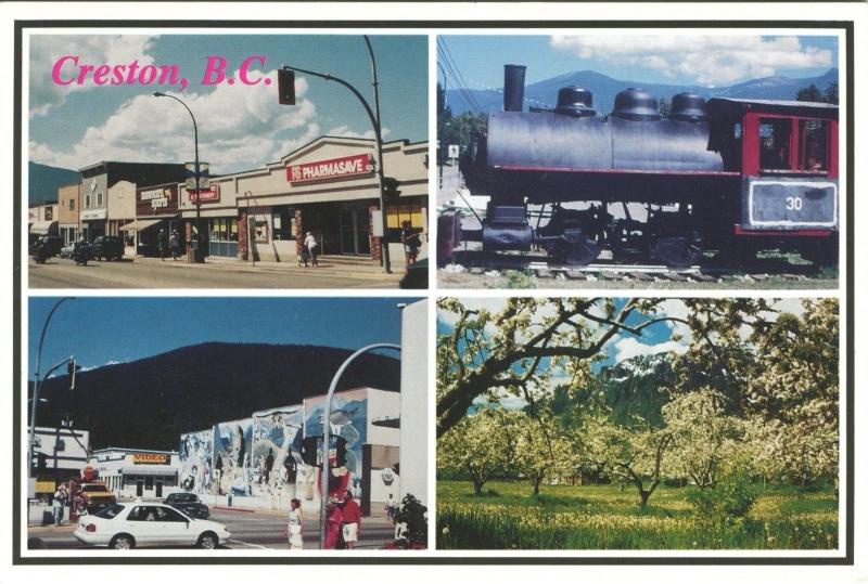 Creston BC Multi-View Mansons Sports Video Store Pharmasave Vintage Postcard D8