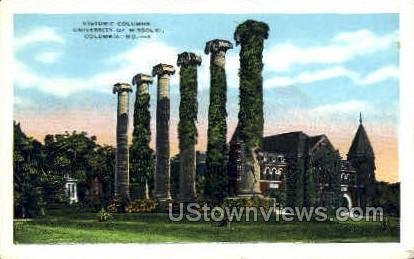 Historic Columns in Columbia, Missouri