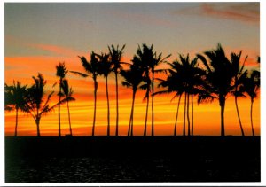 Hawaii Beautiful Sunset