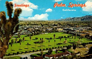 California Palm Springs Greetings Looking East Across O'Donnell Golf Course