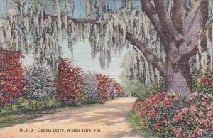 Florida Winter Park Genius Drive