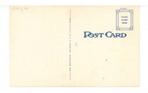 Winter Sports - Ski Jumping