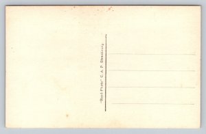 Lourdes  La Vierge Couronnee  Canada   Postcard