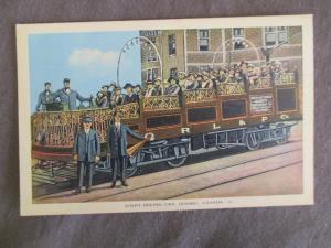 Early 1900s Canada Picture Postcard - Quebec Sight Seeing Car (TT127)