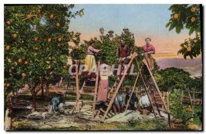 Old Postcard Picking Flowers & # 39oranger Cote d & # 39Azur