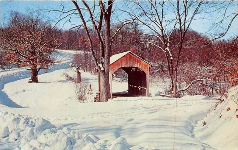 19888 PA, Pittsburgh, Brief Buckeye Bridge, encased in winter beauty