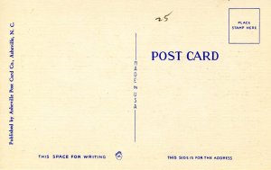 Cotton Stalk loaded with Cotton in Dixieland