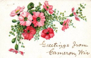 Cameron, Wisconsin - Floral Embossed Greetings - in 1908