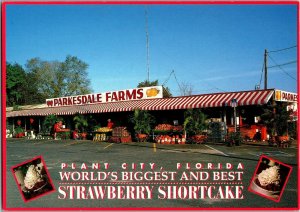 Parkesdale Farm Market, Strawberry and Citrus Plant City FL Postcard A69