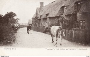 Cows ; Milking Time , 00-10s