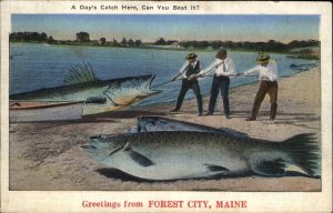 Forest City Maine ME Exaggeration Fishing Vintage Postcard
