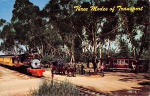 Buena Park California Knotts Berry Farm Trains Vintage Postcard K79906