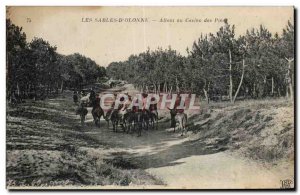 Sables d'Olonne - Going to the Casino des Pins - ass - donkey - Old Postcard
