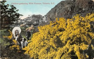 US5582 children gathering wild flowers victoria bc girl with dog canada