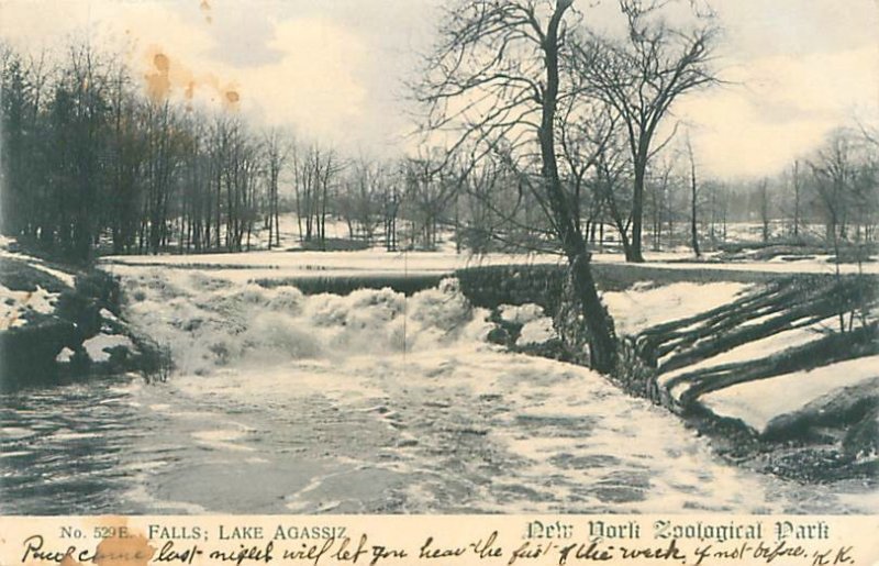 NY Lake Agassiz NY Zoological Park 1907 B&W Undivided Back Postcard Used