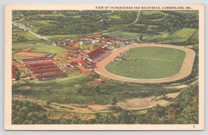 Cumberland Maryland~Fairgrounds & Racetrack Aerial View~Linen Postcard