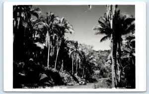 RPPC SAN BLAS, Nararit Mexico ~ PALM-LINED HIGHWAY Scene c1940s Car Postcard