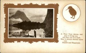 MILFORD SOUND NEW ZEALAND Arthur River KIWI BIRD & FRAME ...