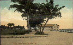 Miami FL Along the Blvd c1910 Postcard