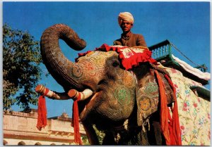 VINTAGE CONTINENTAL SIZE POSTCARD DECORATED ELEPHANT AT JAIPUR INDIA c. 1970s