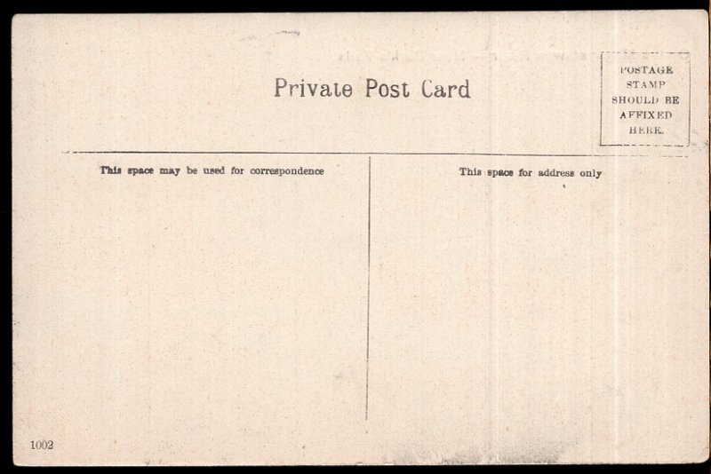 Ontario BURK'S FALLS On the Maganetawan River - Divided Back