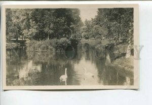 443265 Estonia Narva Joesuu pond with swans Vintage photo postcard
