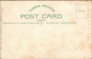 Vtg Jacksonville Florida FL Riverside Park Man on Boat 1910s Postcard