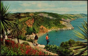 United Kingdom Post card - View from Babbacombe Downs used