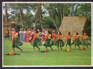 Hula Dancers,HI BIN