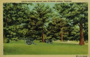 Shiloh National Military Park, Pittsburg Landing, Tennessee Vintage Postcard P58