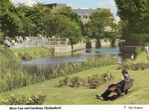 Chelmsford Essex River Lake Cart Gardens Boat Swans Womens Institute Postcard