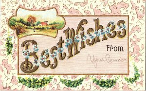 Best Wishes From Vintage Embossed Standard View Postcard Flowers 
