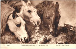 London, England  THE SCANTY MEAL Horses~Art By JOHN FREDERICK HERRING  Postcard