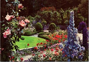 Postcard CAN BC Victoria - Butchart Gardens - Delphinium Time