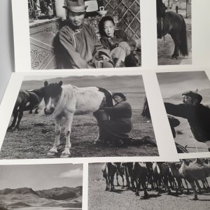 Postcard Set - 8 pictures of Mongolian life taken by Builder Levy