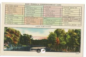 Fun Busy Persons Correspondence Card with River Side Scene Vintage Postcard