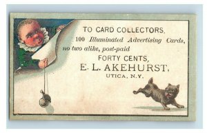 1870s-80s Illuminated Advertising Cards E.L Akehurst Owl Bird Dog Lot Of 6 P201 