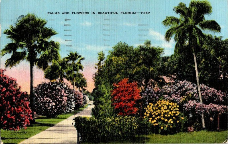Palms and Flowers Beautiful Florida Postcard
